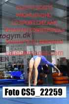 CS5_22259-