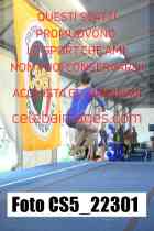 CS5_22301-
