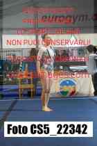 CS5_22342-
