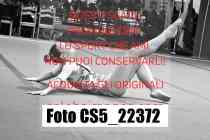 CS5_22372-