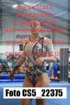 CS5_22375-