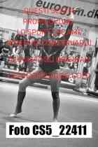 CS5_22411-