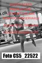 CS5_22522-