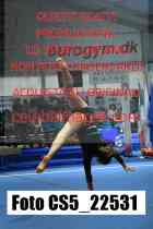 CS5_22531-
