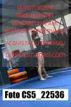 CS5_22536-