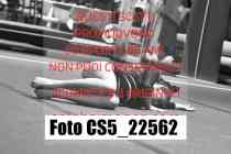 CS5_22562-