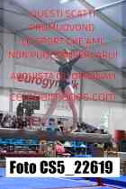 CS5_22619-