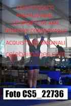 CS5_22736-