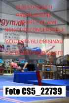 CS5_22739-