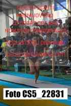 CS5_22831-