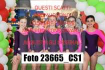 23665_CS1-