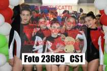 23685_CS1-