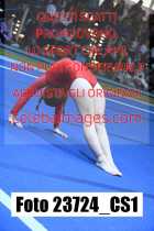23724_CS1-