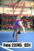 23745_CS1-