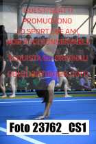 23762_CS1-