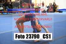 23790_CS1-