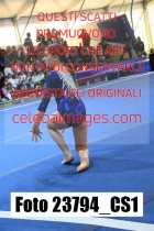 23794_CS1-