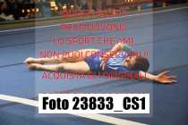 23833_CS1-