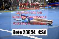 23854_CS1-