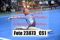 23873_CS1-