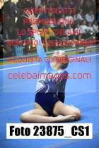 23875_CS1-