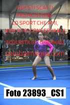 23893_CS1-