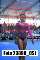 23899_CS1-