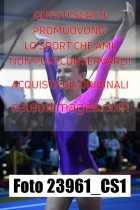 23961_CS1-