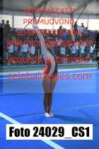 24029_CS1-