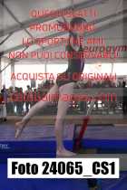24065_CS1-
