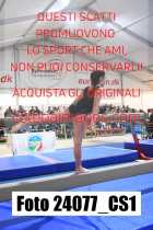 24077_CS1-