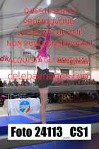 24113_CS1-
