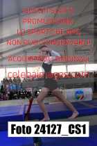 24127_CS1-