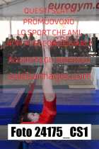 24175_CS1-