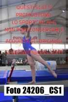 24206_CS1-