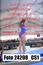 24208_CS1-