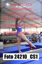 24210_CS1-