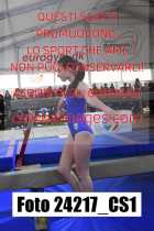 24217_CS1-