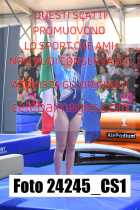 24245_CS1-