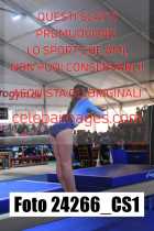 24266_CS1-