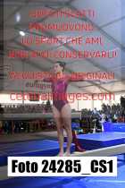 24285_CS1-