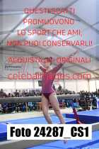 24287_CS1-