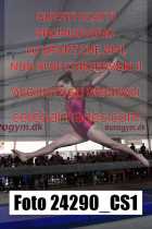 24290_CS1-
