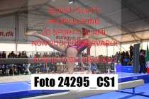 24295_CS1-