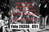 24356_CS1-