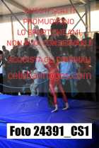 24391_CS1-