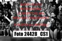 24428_CS1-