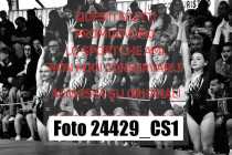 24429_CS1-