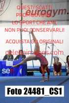 24481_CS1-