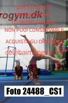 24488_CS1-